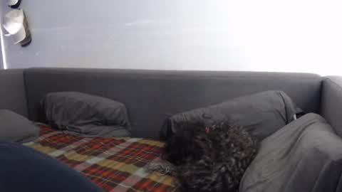 justasucker4u online show from November 20, 1:43 pm