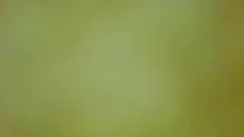 McKeefer online show from September 13, 5:47 pm