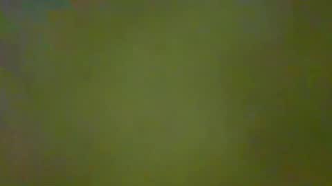 McKeefer online show from November 16, 5:59 pm