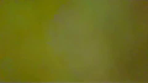 McKeefer online show from January 9, 3:34 pm