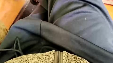 kamillos88 online show from October 5, 8:18 am