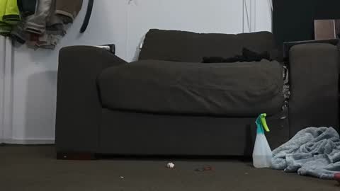 Kandy Dreams online show from January 17, 6:36 pm