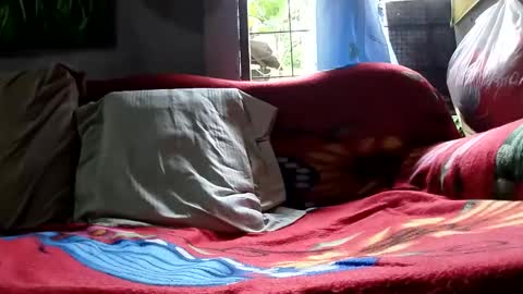 keer1991 online show from April 6, 9:15 pm