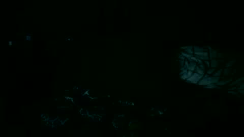 Kevin online show from January 13, 7:00 am