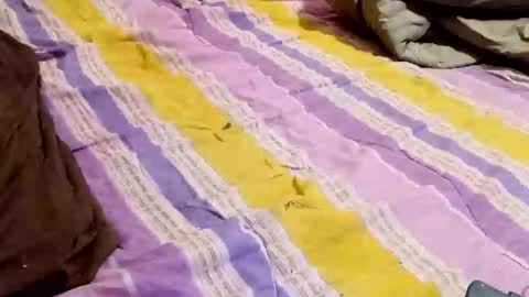 kingbat30 online show from March 2, 1:47 am