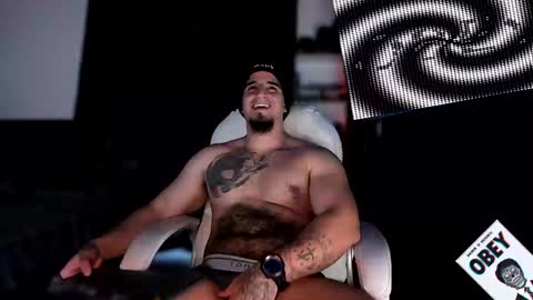 King Bear online show from February 2, 7:20 am