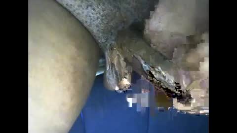 kingcums_95 online show from December 29, 4:08 pm