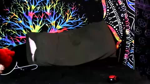 Jerry online show from February 6, 5:15 am