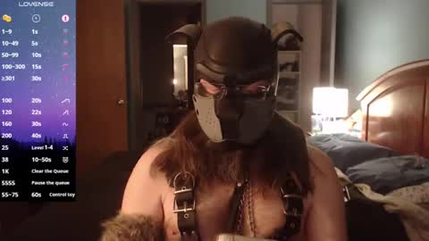 kinkywolf87 online show from January 29, 11:14 pm