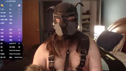 kinkywolf87 online show from February 2, 9:56 pm