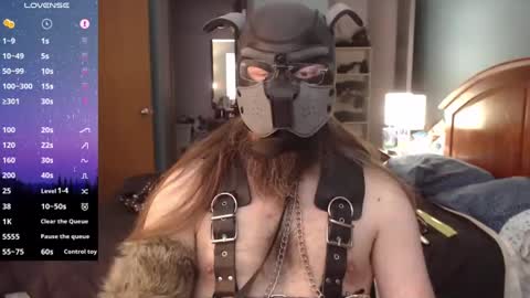 kinkywolf87 online show from December 21, 6:23 pm