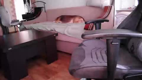 Snapshot of kola4ik72305 chatting on October 4, 11:04 am kola4ik72305 online show from October 4, 11:04 am