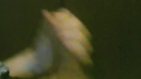 Snapshot of kren565656 chatting on September 25, 11:42 am kren565656 online show from September 25, 11:42 am