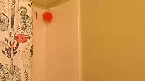 kyleisabadname online show from October 20, 12:47 am