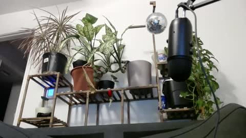 Snapshot of laidback_and_chill chatting on December 12, 12:16 am Rick online show from December 12, 12:16 am