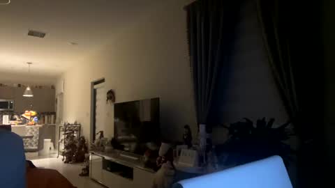 law_cambio online show from December 31, 11:31 am