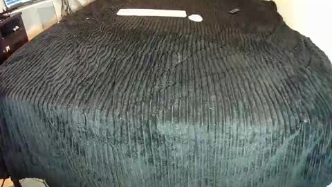 leatherman31 online show from October 25, 1:18 am