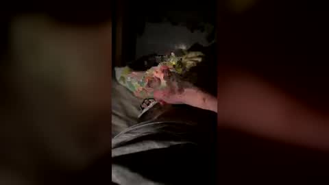 lee_8891 online show from June 9, 9:38 pm