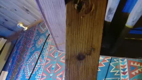 Dliciousman online show from December 19, 5:50 pm