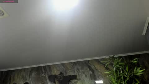 LIAM KLEIN online show from January 25, 11:23 am