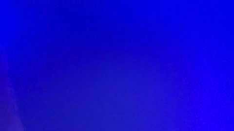 LickYourYoni online show from March 3, 2:53 pm