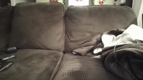 lifer77 online show from December 26, 5:26 am