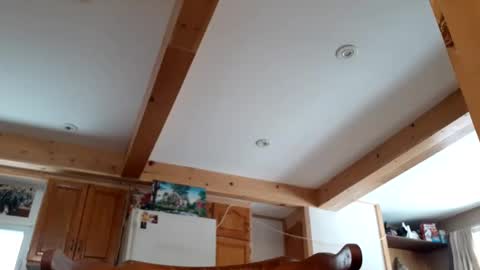 St pierre online show from November 18, 3:16 pm