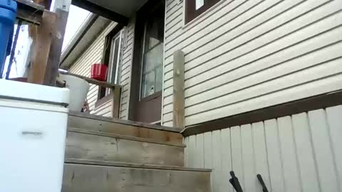 lildeer1980 online show from April 26, 8:38 pm