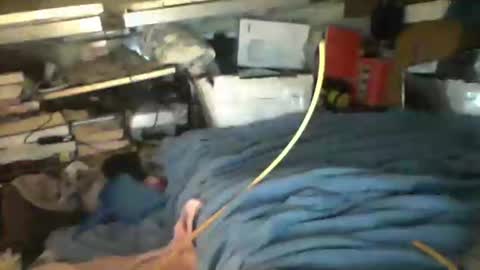 Snapshot of littlejay4773 chatting on October 4, 7:02 am littlejay             littlejay online show from October 4, 7:02 am