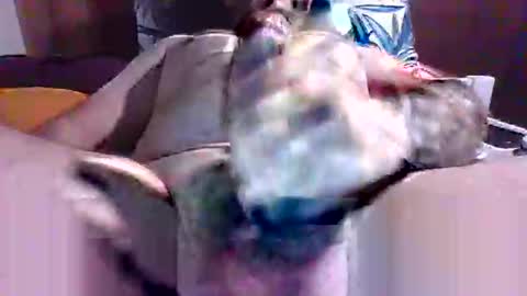 litwinpaweel online show from February 23, 10:20 pm