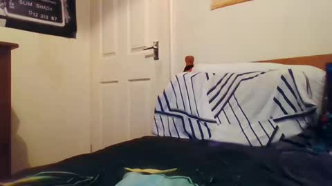 Logmog online show from December 19, 1:50 am