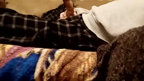 looking4bush online show from December 3, 7:19 am