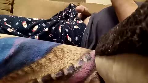 looking4bush online show from December 23, 2:42 am