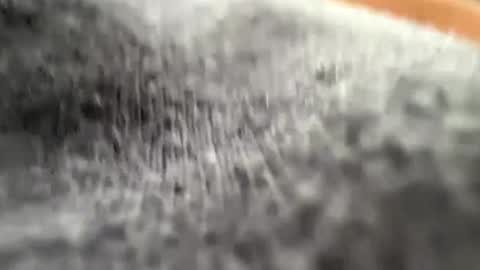 Snapshot of loookinforfunn22 chatting on September 29, 2:02 pm First Timeeeeee online show from September 29, 2:02 pm