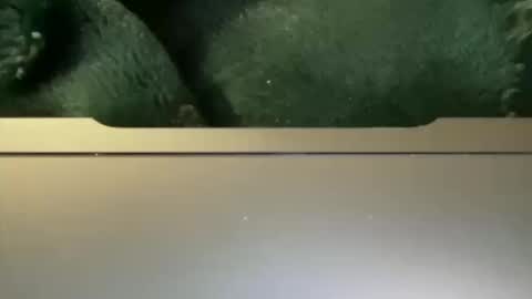 Snapshot of loookinforfunn22 chatting on October 12, 7:24 am First Timeeeeee online show from October 12, 7:24 am