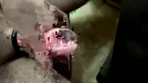 lord47maliby online show from January 5, 6:56 am