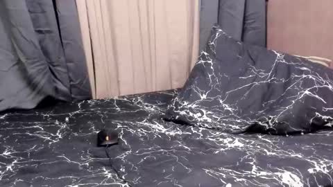 Snapshot of majestic_anne chatting on September 10, 1:54 pm Annalyn online show from September 10, 1:54 pm