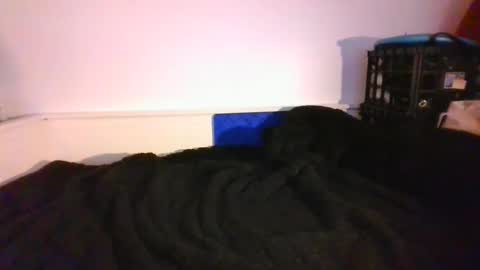 Snapshot of malebdsmslut chatting on December 14, 9:56 pm CommandbondageNipples bondage kink submissive lovense slave wgear. modequiethvyBondage If Password goldfish online show from December 14, 9:56 pm