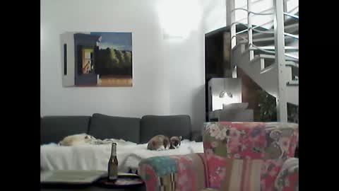 man38110 online show from January 26, 8:23 pm