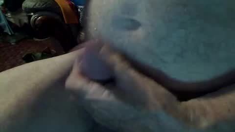 mangochinni online show from February 11, 10:20 am