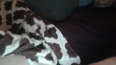 marek online show from January 8, 2:39 am