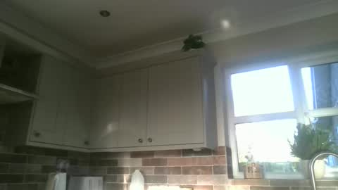 Snapshot of martinrgbxxxx chatting on December 22, 9:55 am martinrgbxxxx online show from December 22, 9:55 am