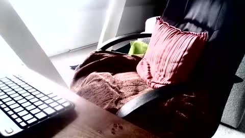 Snapshot of maskime59 chatting on December 9, 9:06 am maskime59 online show from December 9, 9:06 am