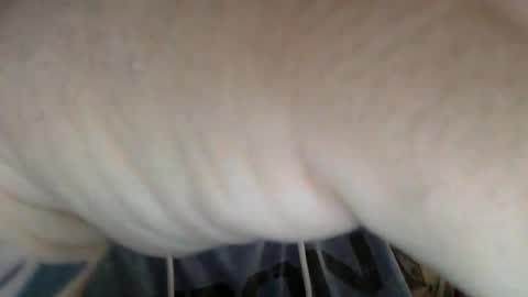 Snapshot of masterdutch44 chatting on November 1, 8:35 pm masterdutch44 online show from November 1, 8:35 pm