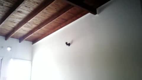 matifolk online show from January 19, 2:38 pm