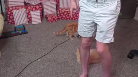 Matt Cash online show from December 26, 2:12 am