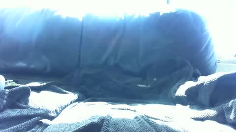 Snapshot of matthias357 chatting on January 16, 11:16 pm matthias357 online show from January 16, 11:16 pm