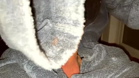 Snapshot of maxbwd chatting on December 24, 3:16 am BigDickDevil online show from December 24, 3:16 am