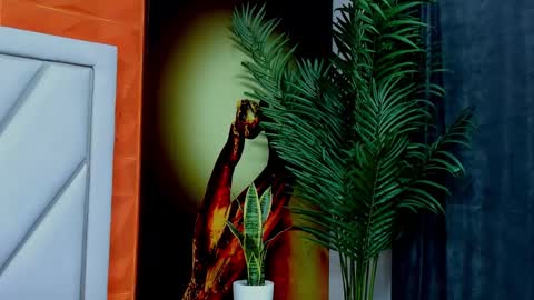 Alex online show from February 17, 11:31 am