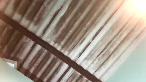 Maximo Aron Vega online show from January 25, 4:02 am